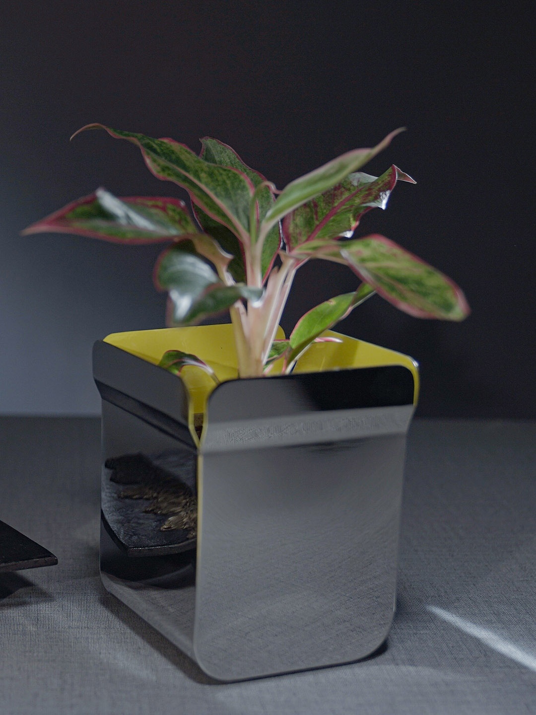 

ARTTDINOX Steel-Toned Solid Urban Large Stainless Steel Planter