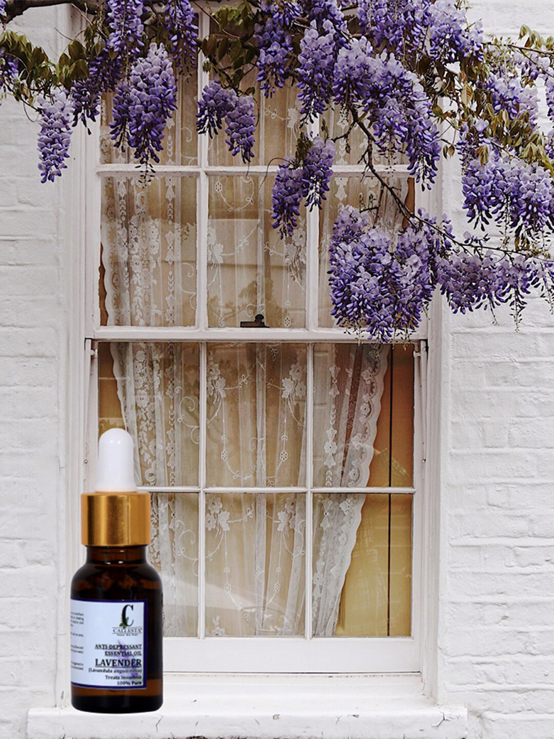 

Callesta Lavender Essential Oil - 15 ml, Cream