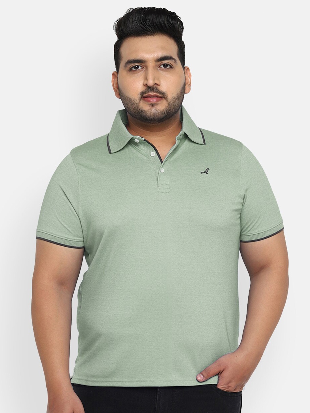 

American Crew Plus Men Green Polo Collar T-shirt