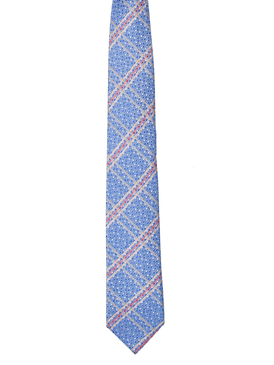 

Alvaro Castagnino Men Blue & Red Striped Broad Tie