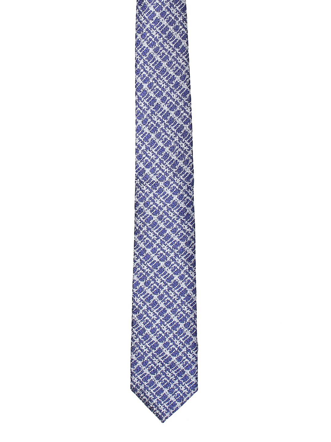 

Alvaro Castagnino Men Navy Blue & White Checked Ascot Tie