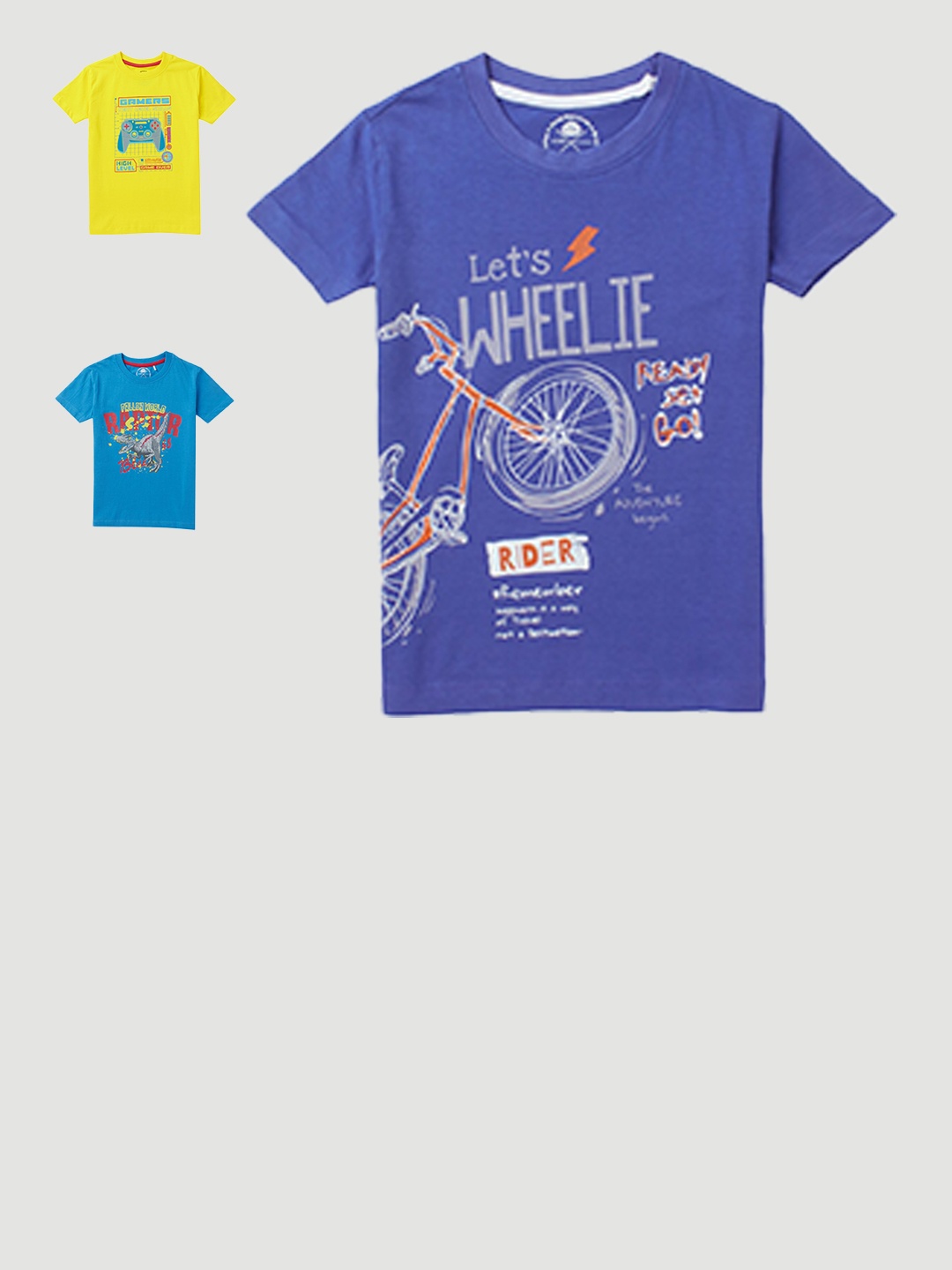 

Cub McPaws Boys Multi 3 Printed T-shirt