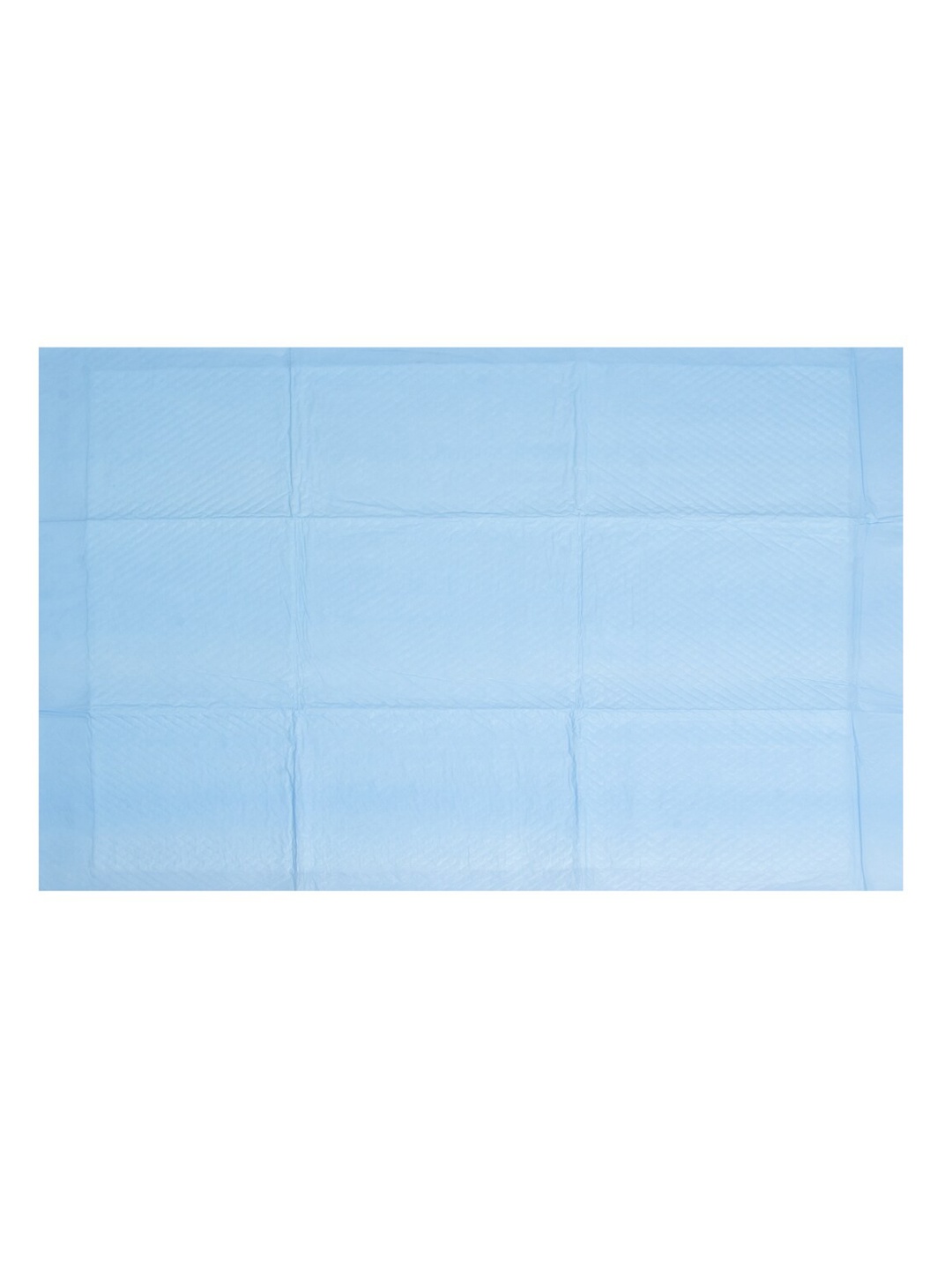 

WIGGLE TWIDDLE Blue Pet Training Disposable Pad