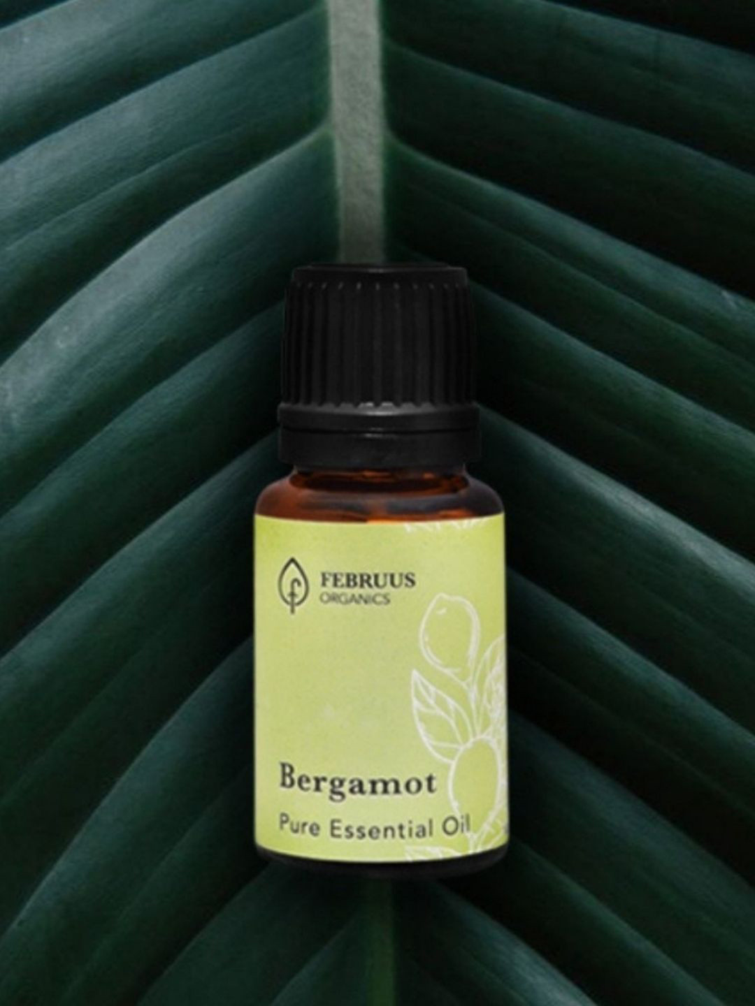 

Februus Organics Bergamot Essential Oil - 10ml, Transparent