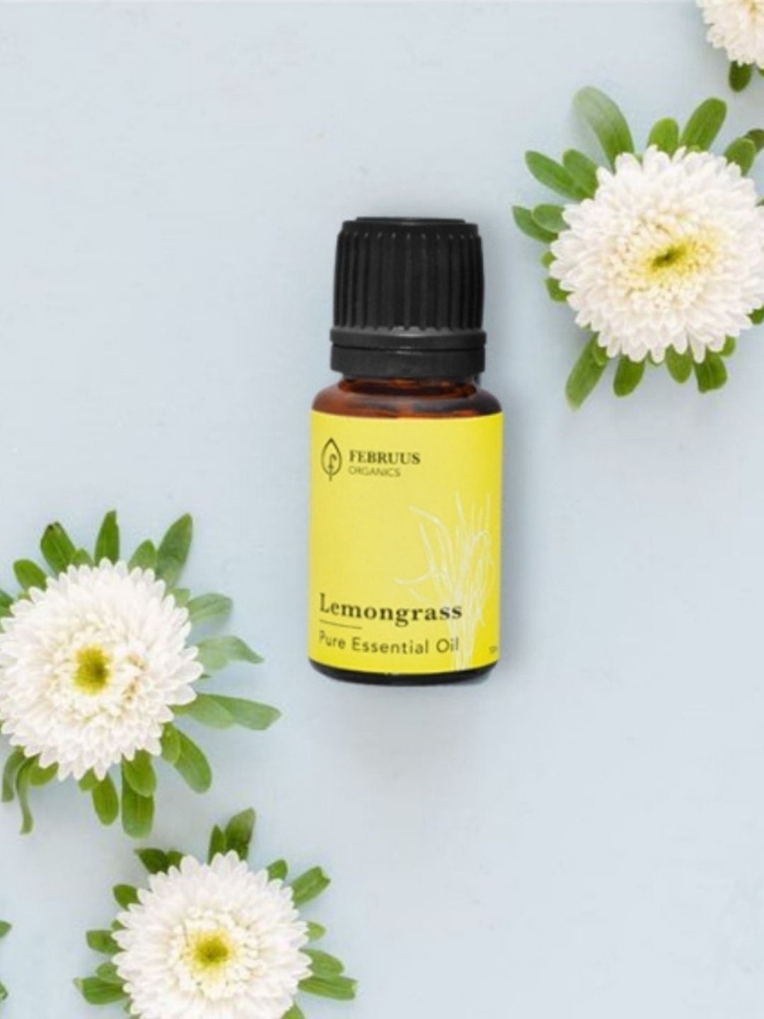 

Februus Organics Lemongrass Essential Oil - 10ml, Transparent