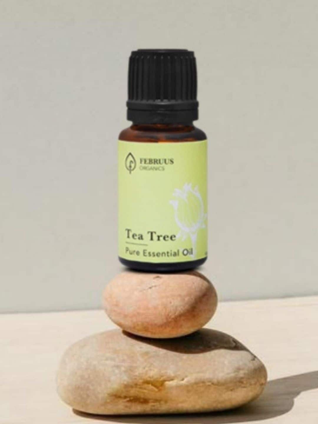 

Februus Organics Tea Tree Essential Oil - 10 ml, Transparent