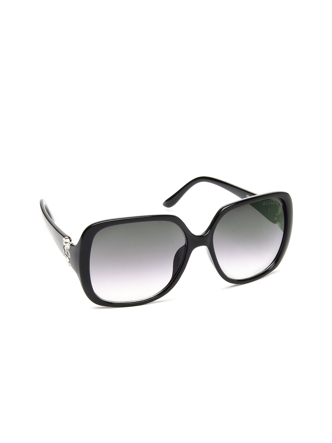 

Alvaro Castagnino Women Sunglasses ASG176, Purple