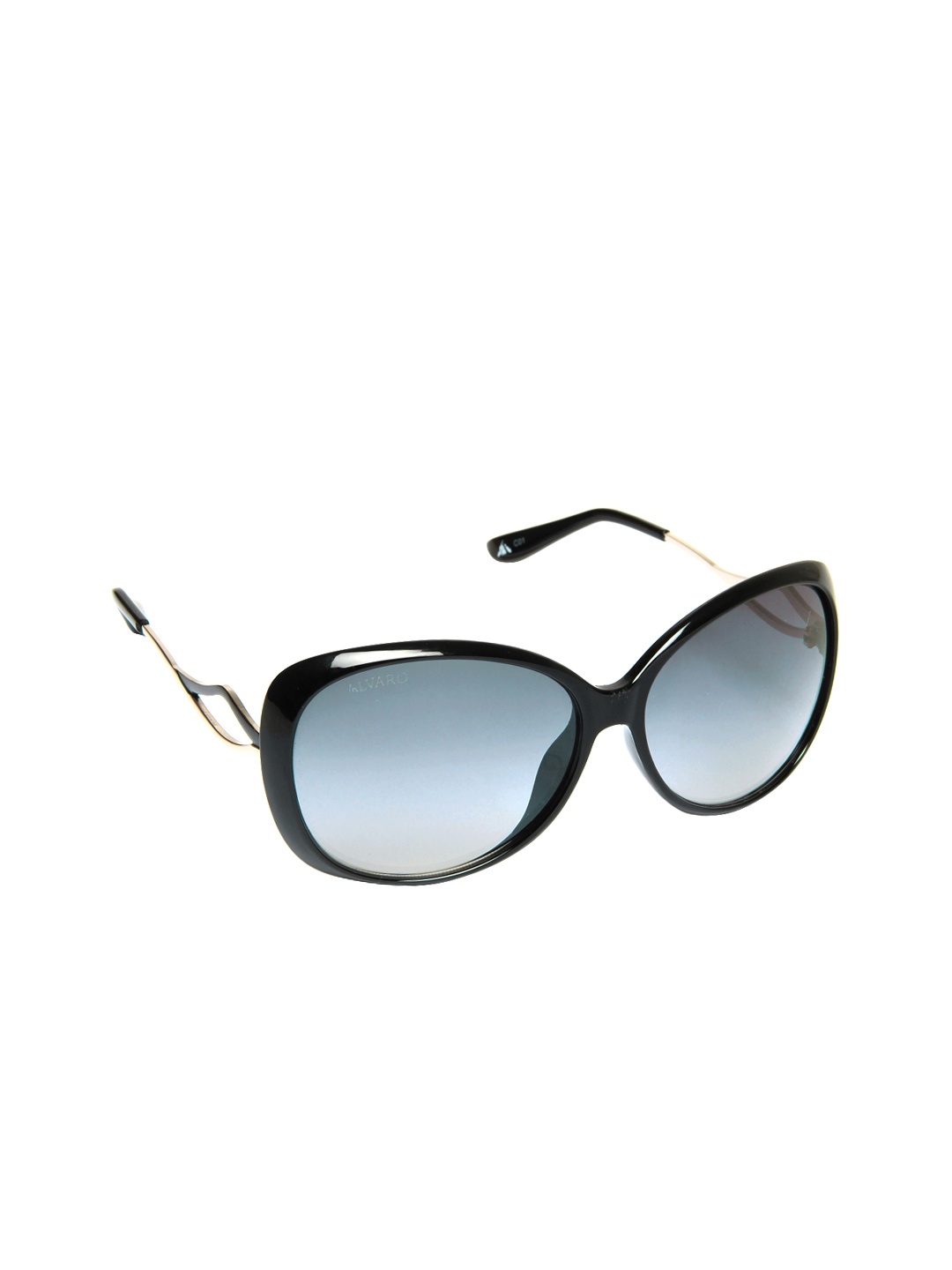 

Alvaro Castagnino Women Sunglasses, Black