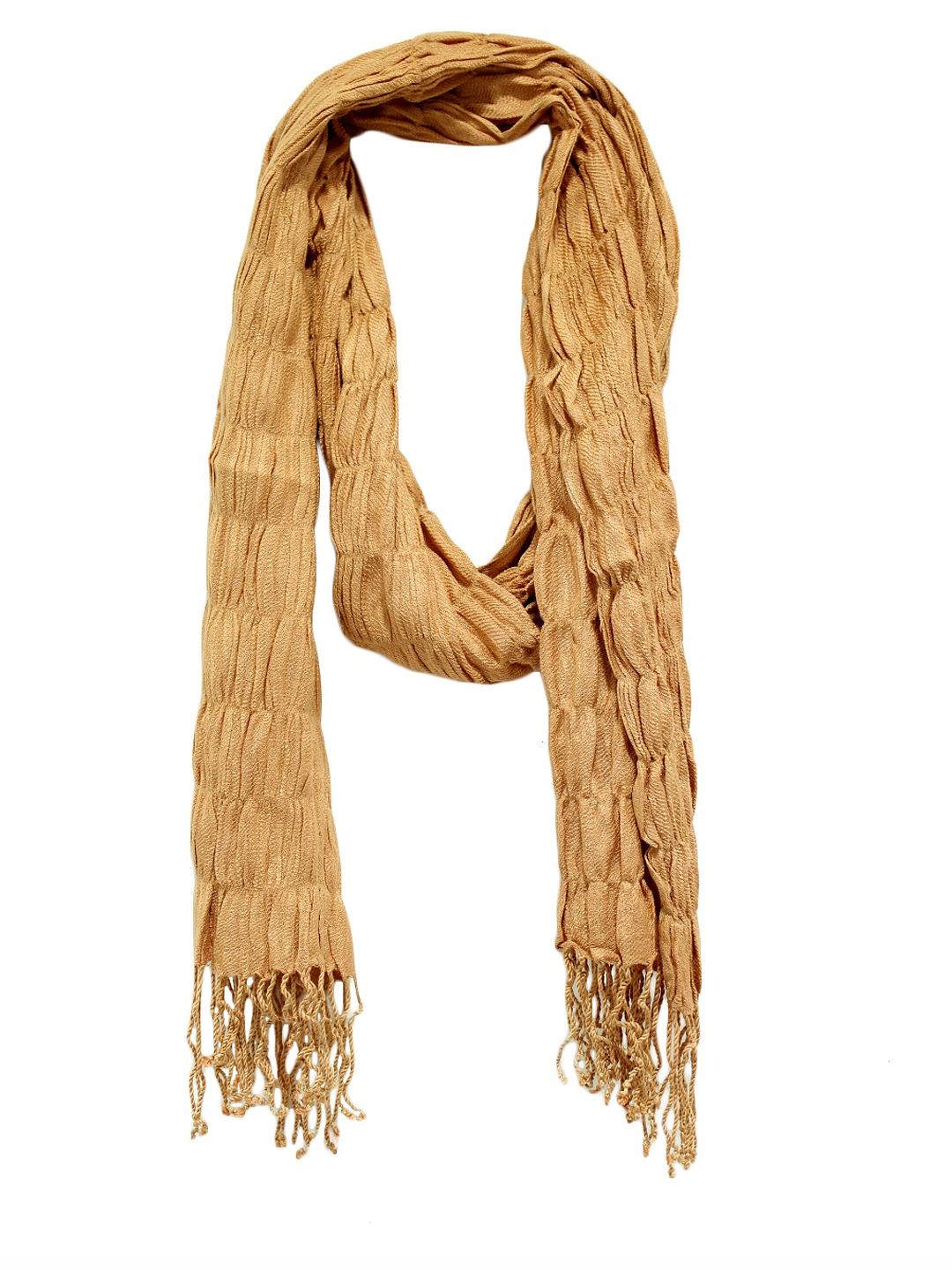 

Anekaant Women Dark Beige Stole