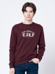 Red Tape Men Maroon Printed Sweatshirt