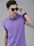 The Bear House Polo Tshirts Min 70% off