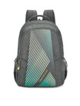 Aristocrat Unisex Grey & Green Striped Backpack