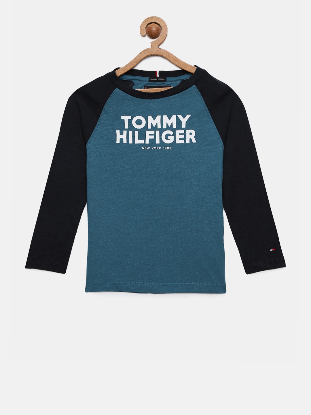Buy Tommy Hilfiger Boys Blue Printed Round Neck T Shirt - Tshirts for ...