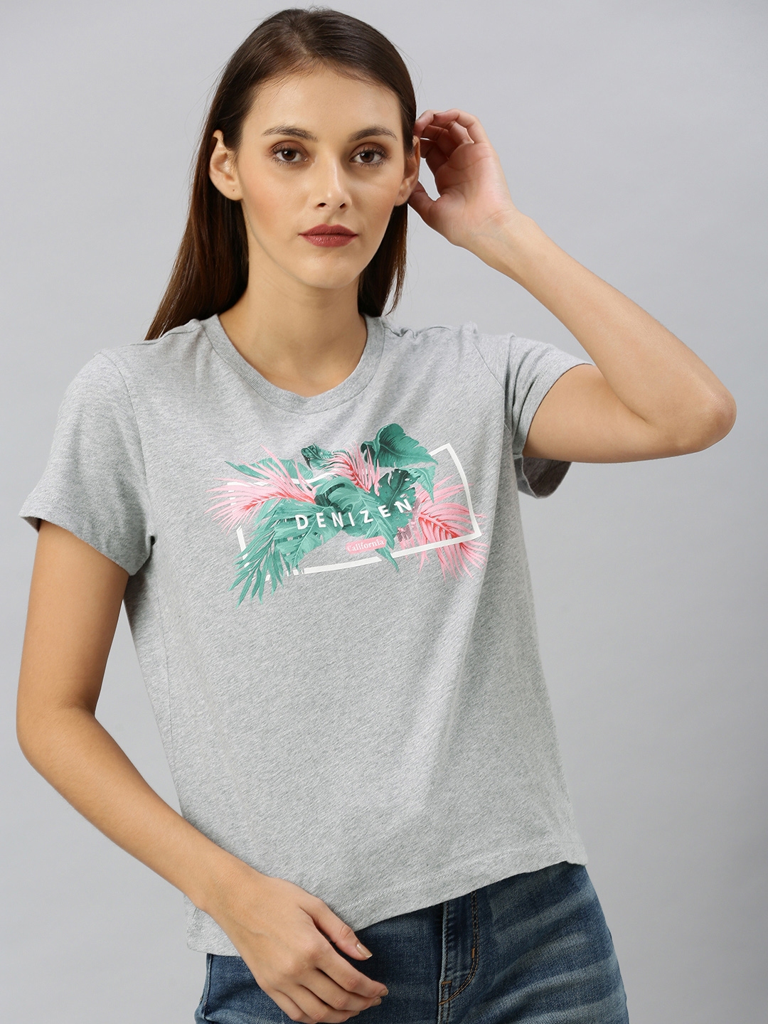 denizen levis logo