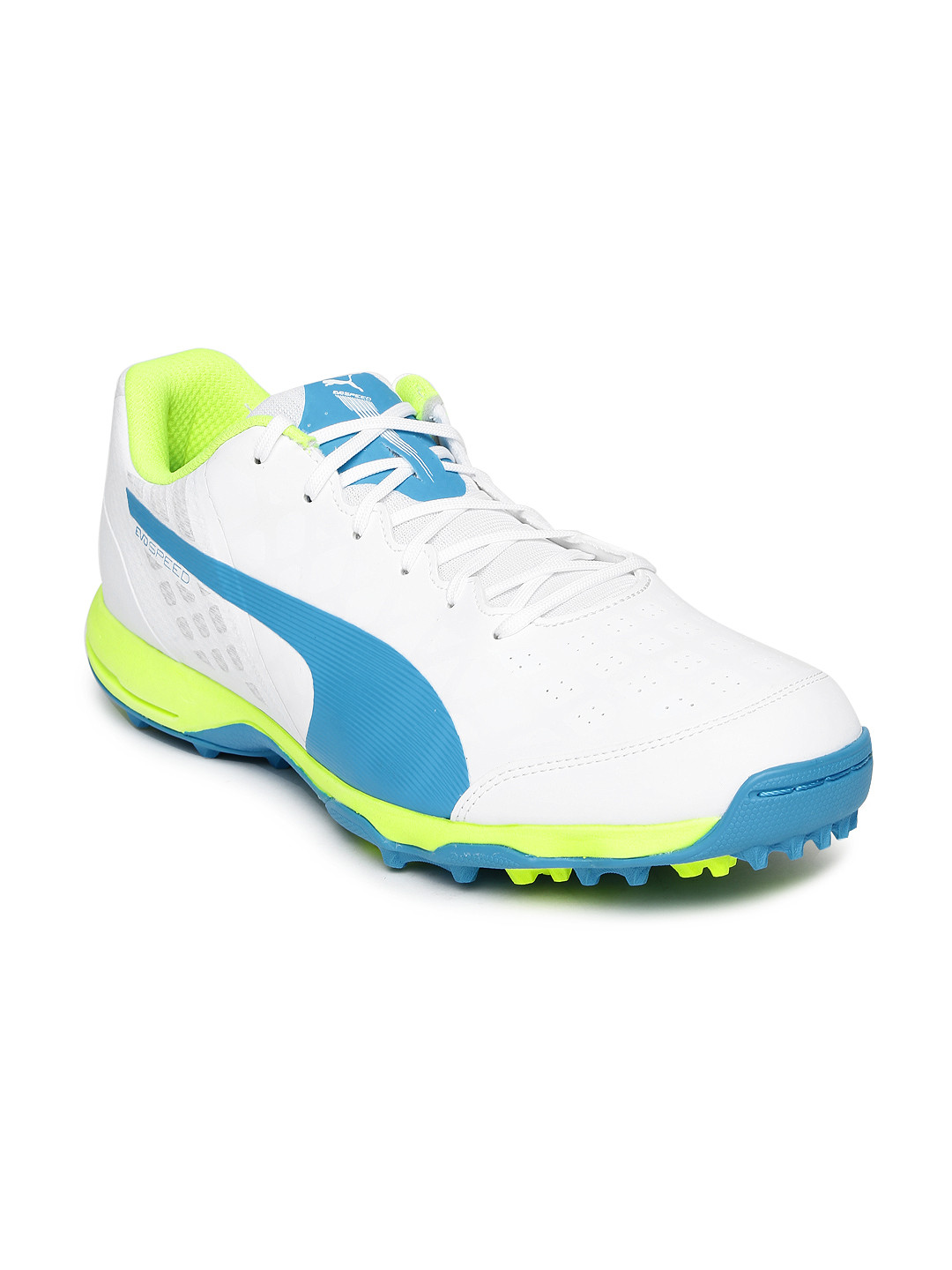 puma evospeed cricket shoes