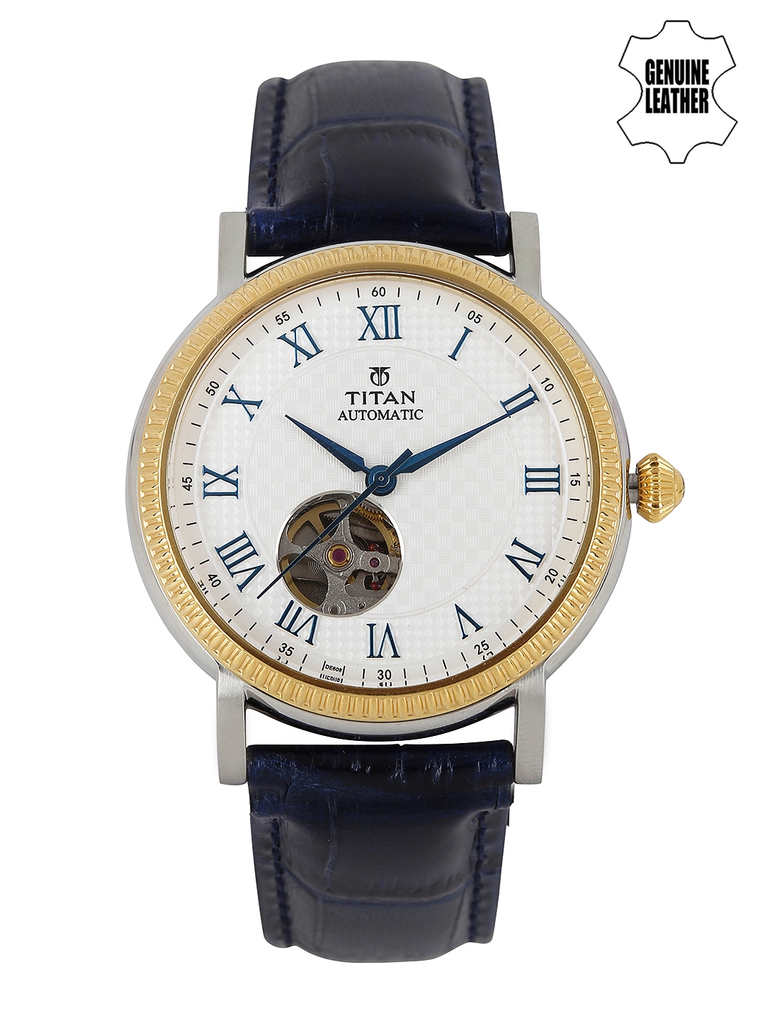 titan automatic watch