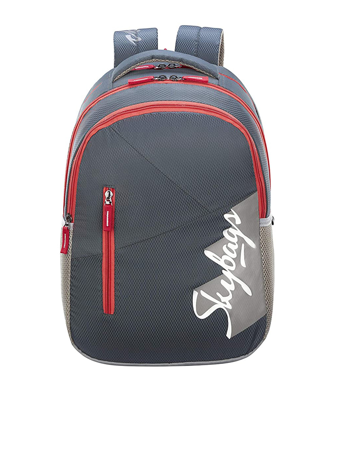 Buy Skybags Unisex Grey Brand Logo Backpack Backpacks for Unisex