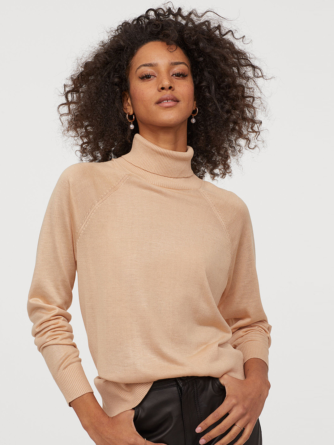Buy H&M Women Beige Fine Knit Polo Neck Jumper Sweaters for Women