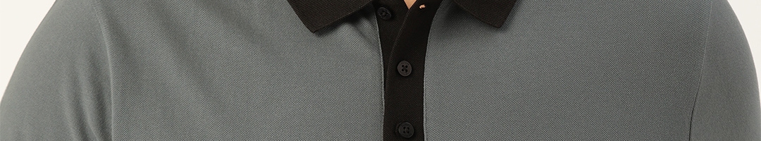 Buy Sztori Men Plus Size Grey Pure Cotton Solid Polo Collar T Shirt ...
