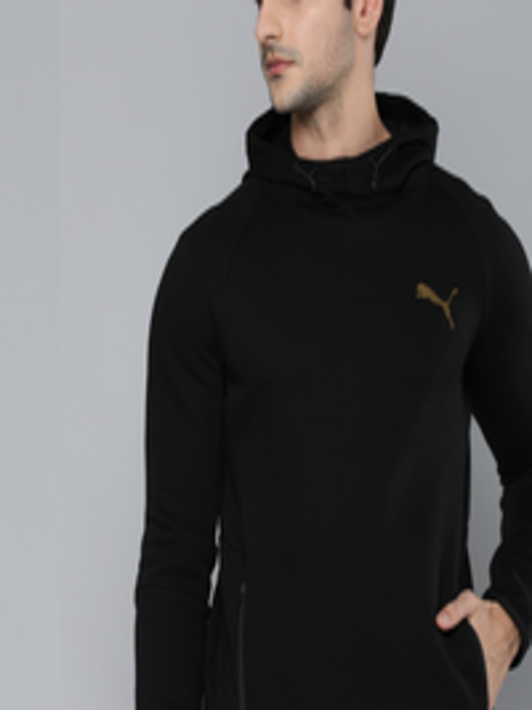 Buy Puma Men Black Solid Evostripe Slim Hooded Pullover Sweatshirt With ...