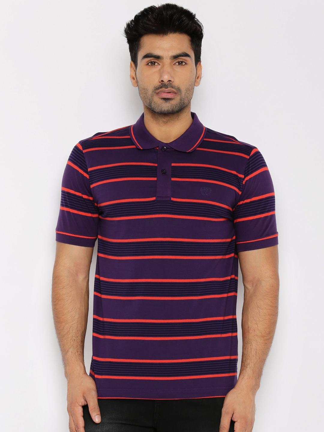 Buy Van Heusen Men Purple Striped Polo T Shirt - Tshirts for Men ...