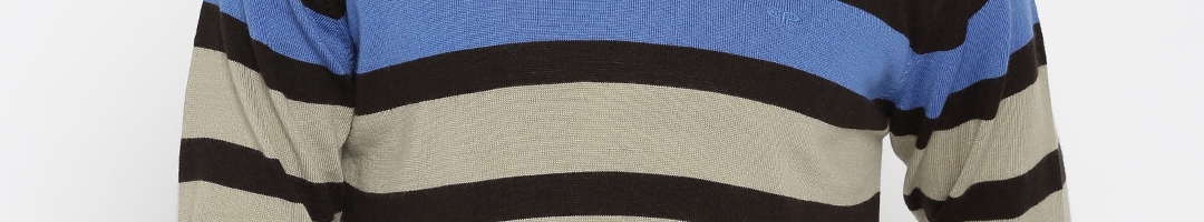 Buy ColorPlus Men Brown & Beige Striped Sweater - Sweaters for Men ...