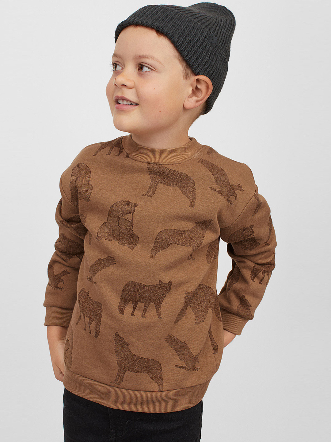 Buy H&M Boys Printed Sweatshirt Sweatshirts for Boys 15939140 Myntra