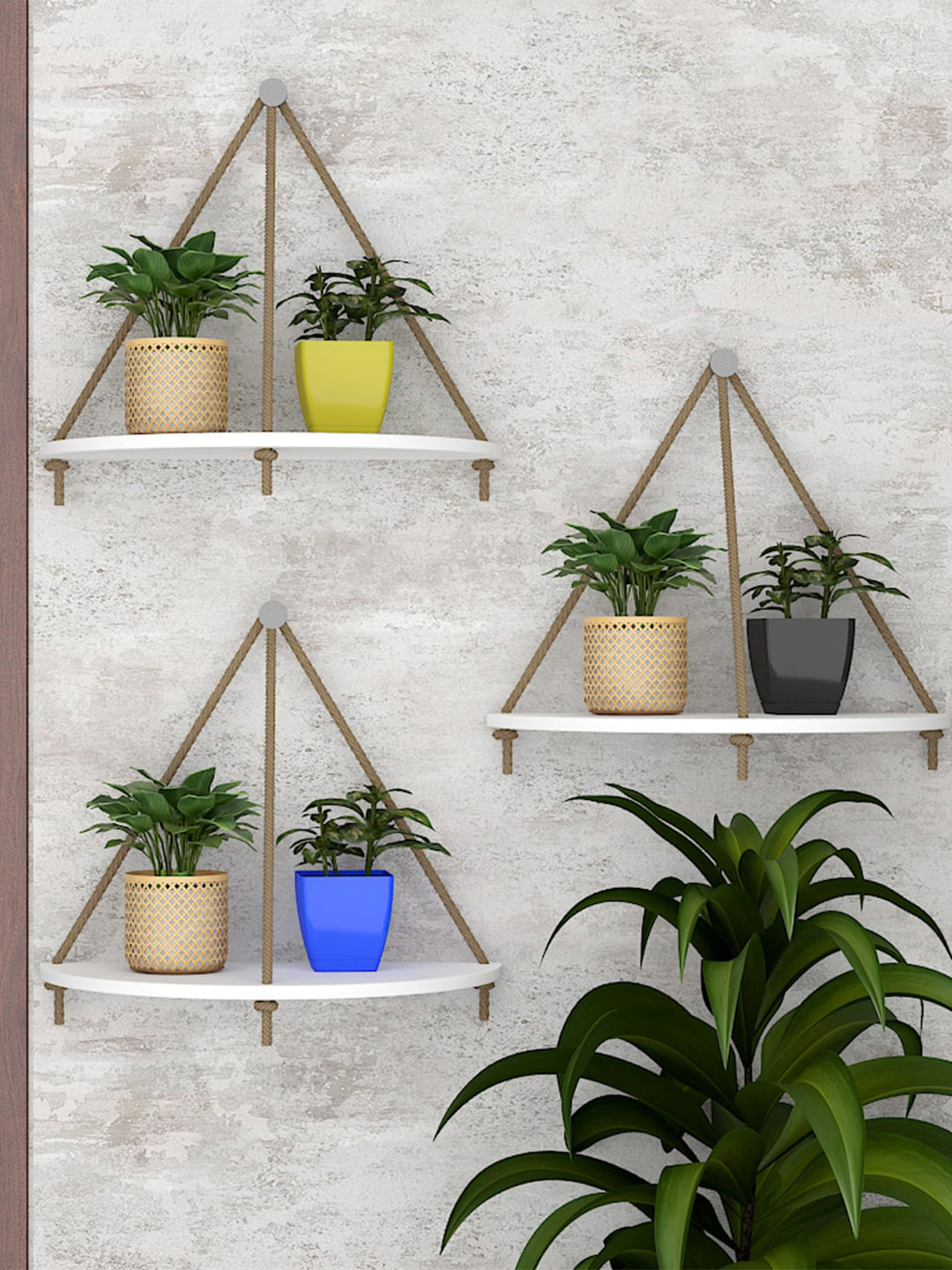 Buy WALLMANTRA White Set Of 3 Trilateral Wooden Wall Hanging Planter