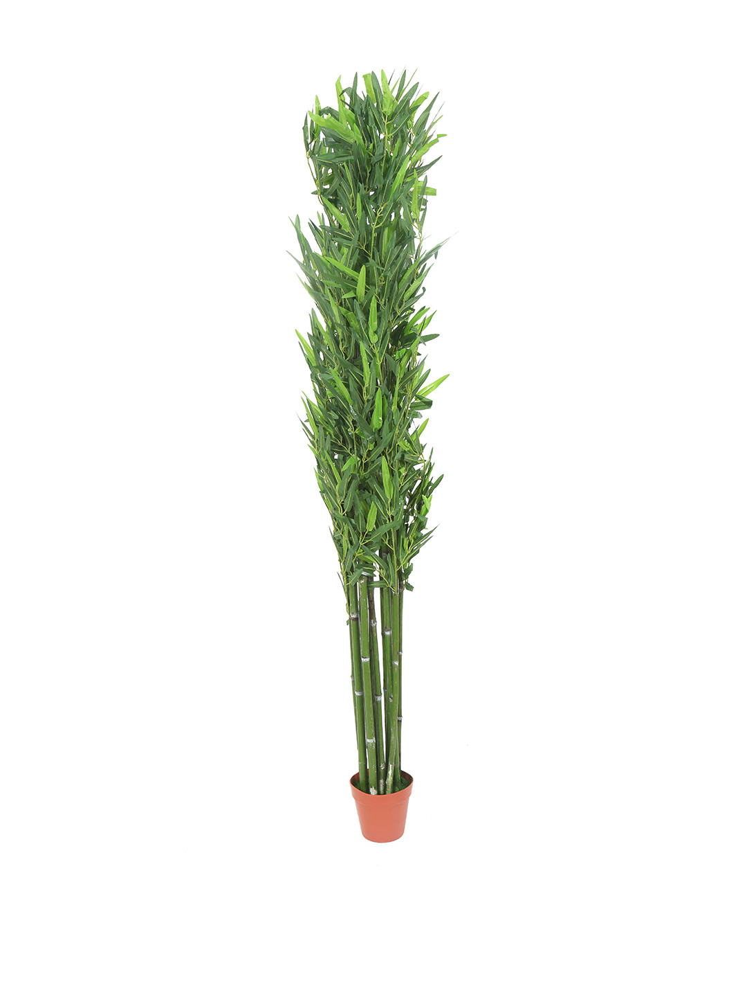 Buy Athome By Nilkamal Green Decorative Bamboo Artificial Plant Without