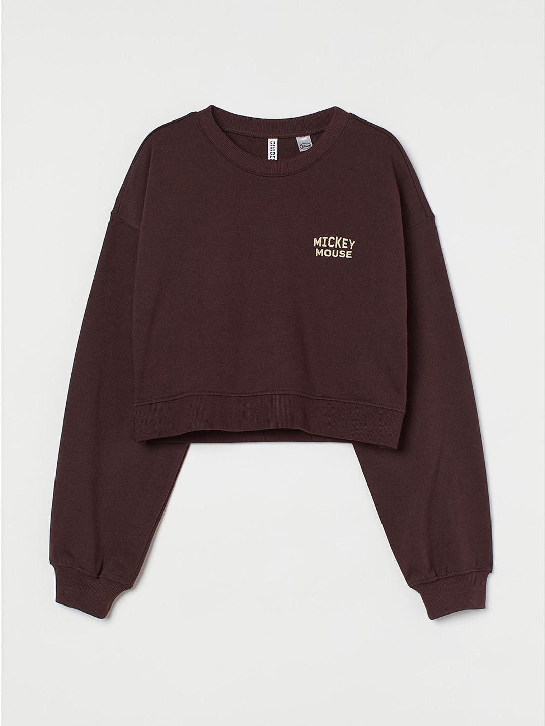 Buy H&M Women Brown Cropped Sweatshirt Sweatshirts for Women 16395688