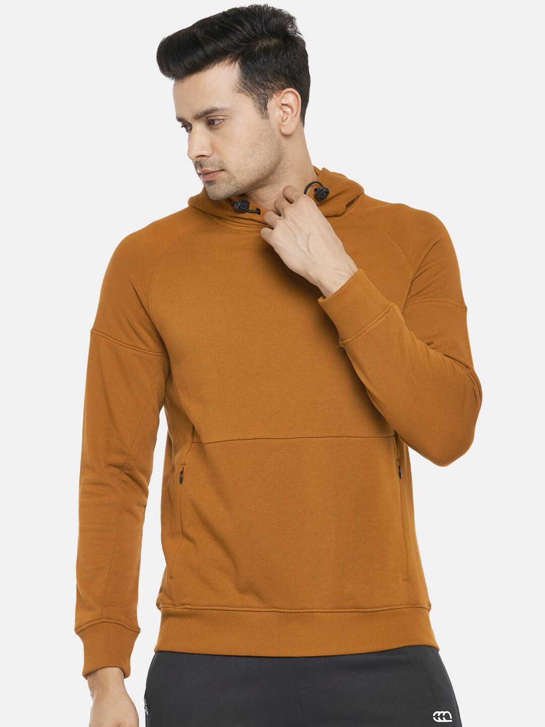 Buy Ajile By Pantaloons Men Tan Brown Sweatshirt Sweatshirts for Men
