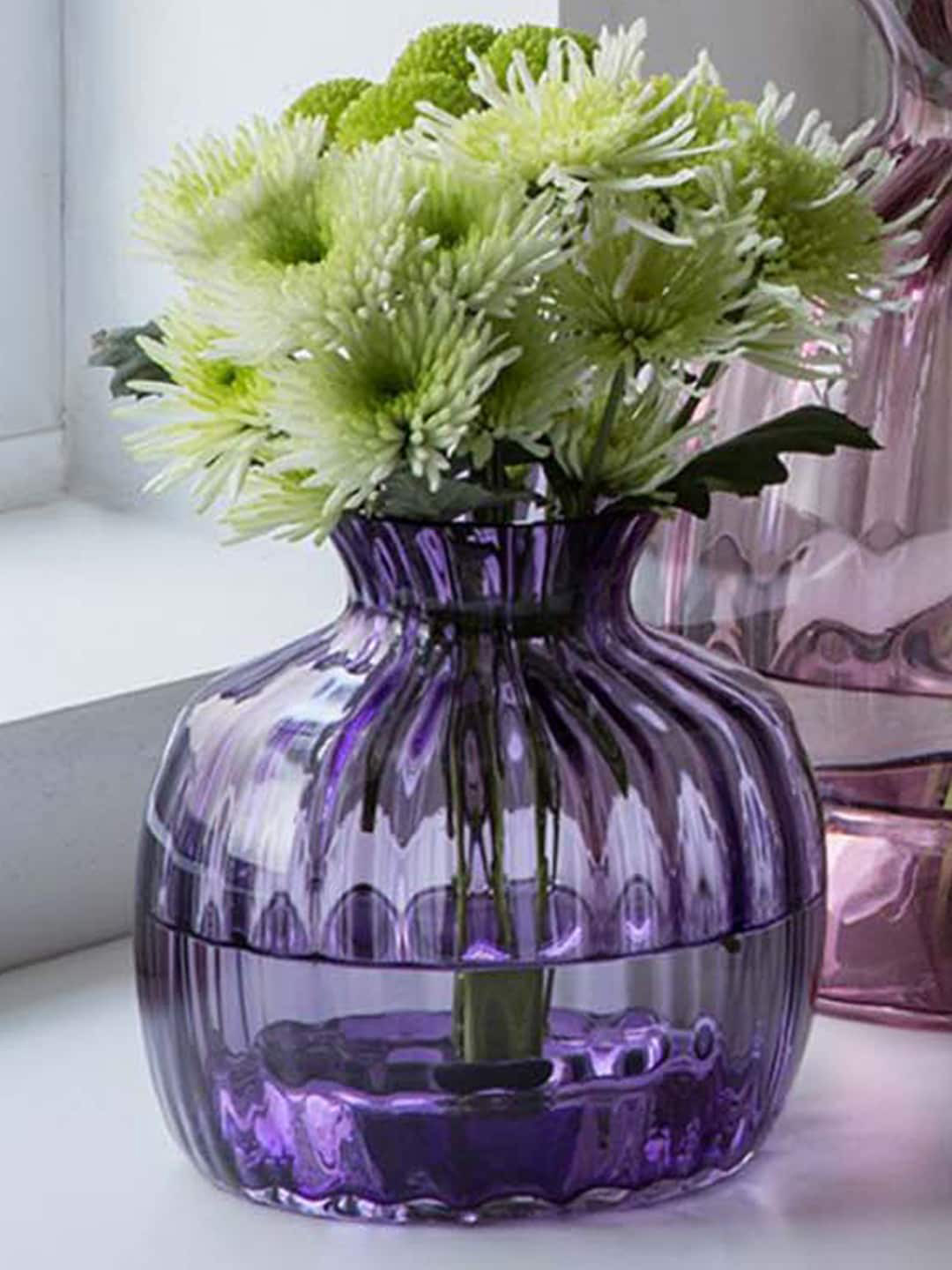 Buy DARTINGTON Purple Solid Glass Flower Vase Vases for Unisex 16411124 Myntra