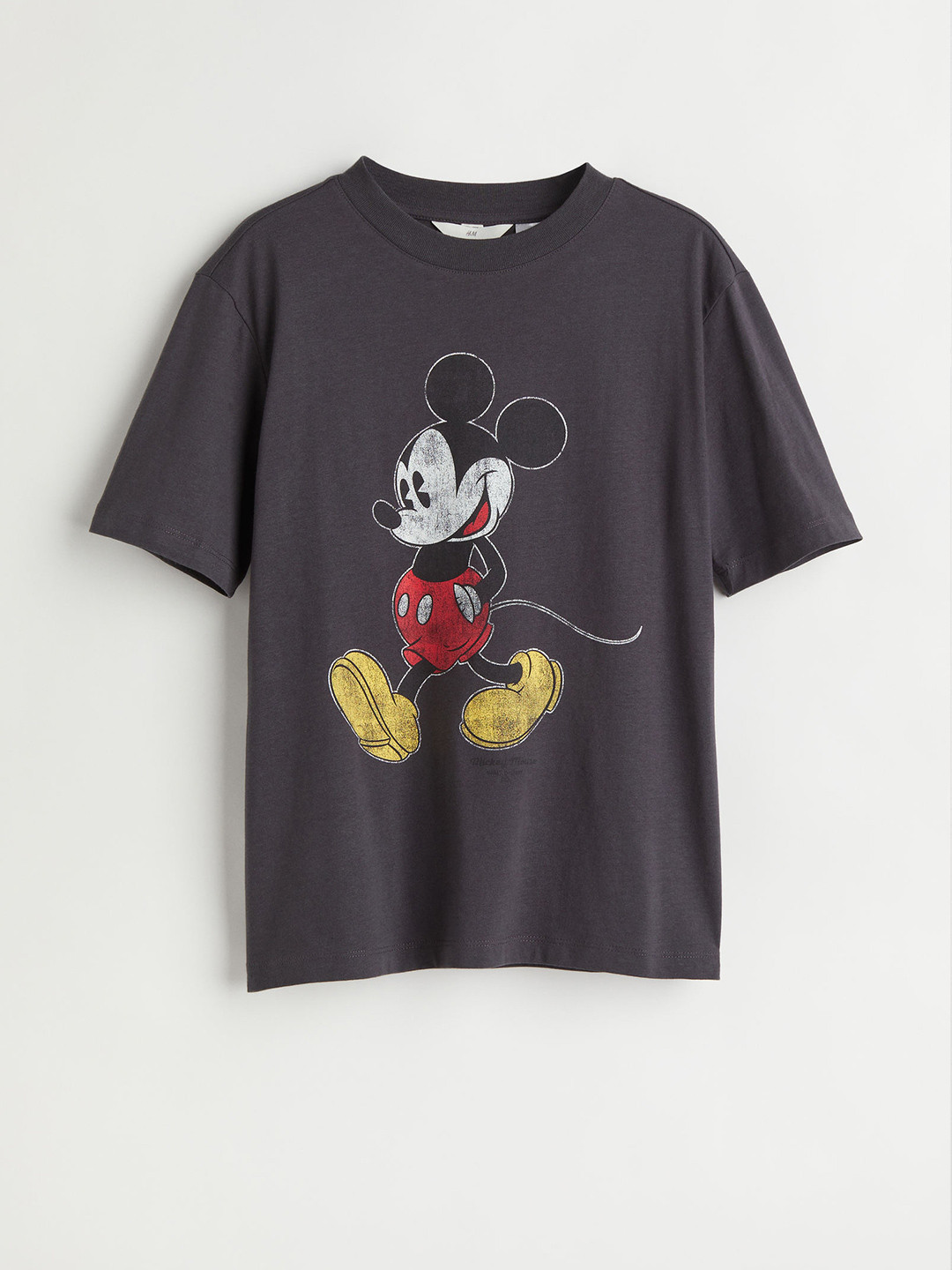 Buy H&M Women Grey T Shirt With A Motif Tshirts for Women 16652168