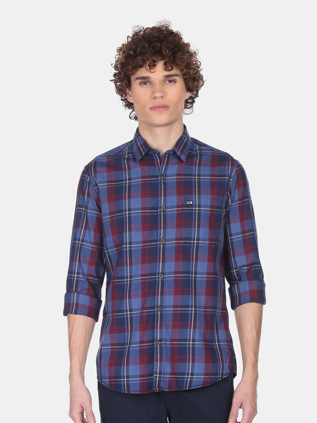 Buy Arrow Sport Men Blue & Red Tartan Checked Pure Cotton Casual Shirt