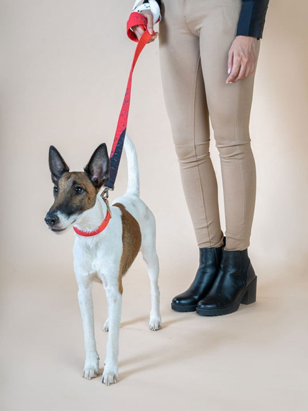 Buy Thepawpstarco Kids Red Printed Pet Leashes Pet Leashes for Unisex