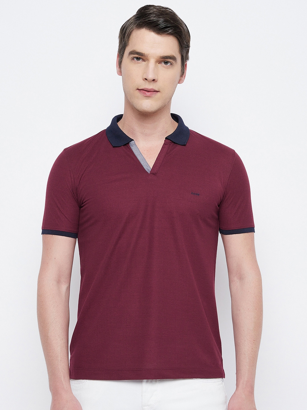 Men's Burgundy Striped Polo Collar T-Shirt