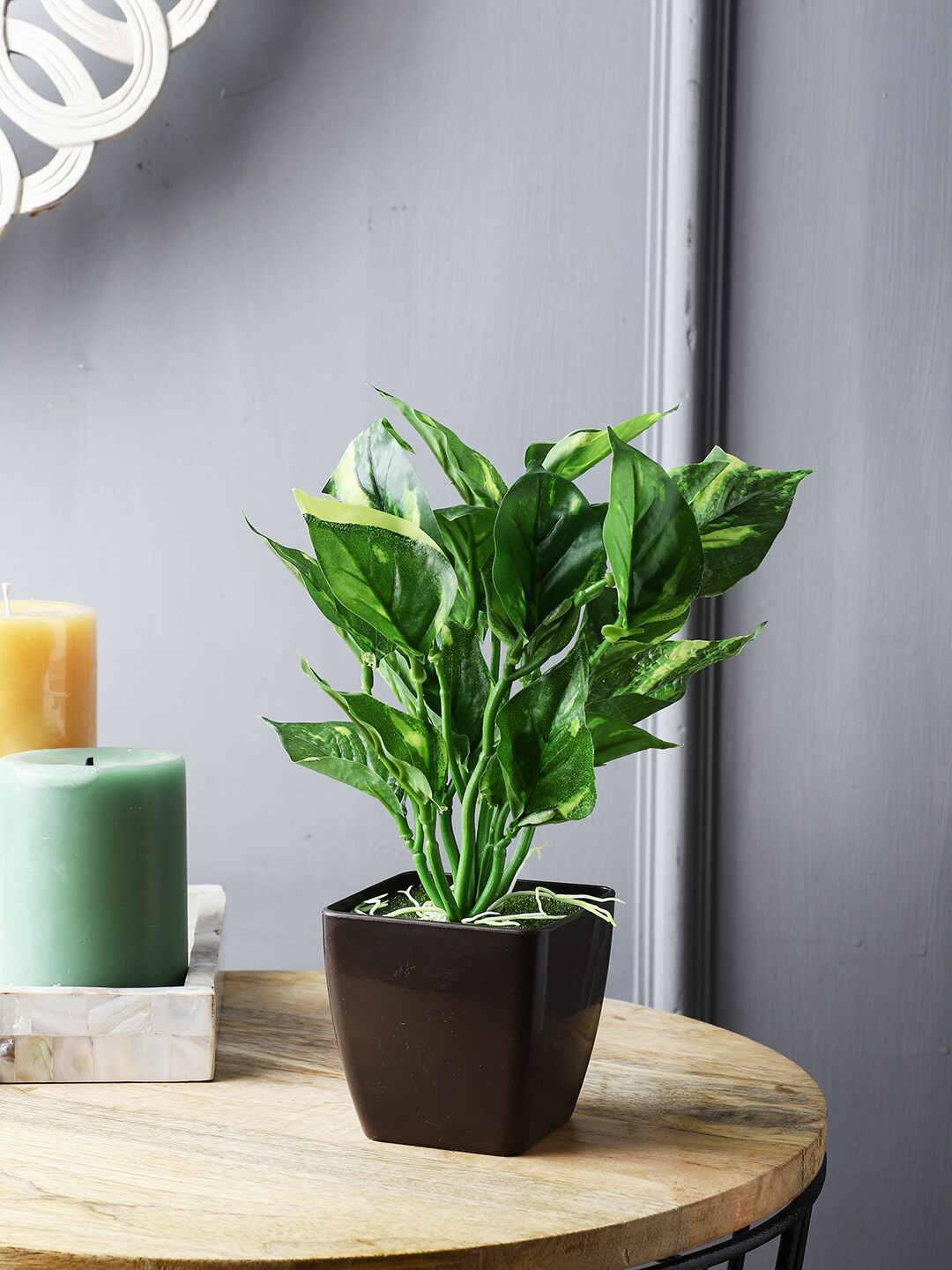 Buy FOLIYAJ Unisex Green Artificial Money Plant With Pot Artificial