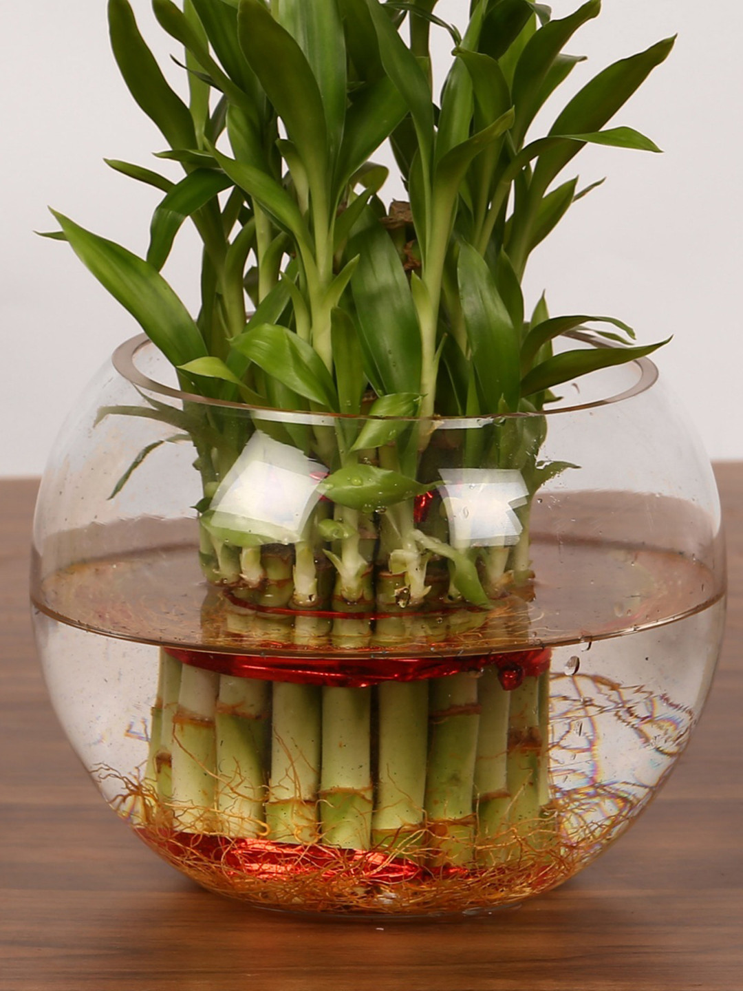 Buy Home Centre Transparent Solid Glass Potpourri Potpourri for Unisex 17943692 Myntra