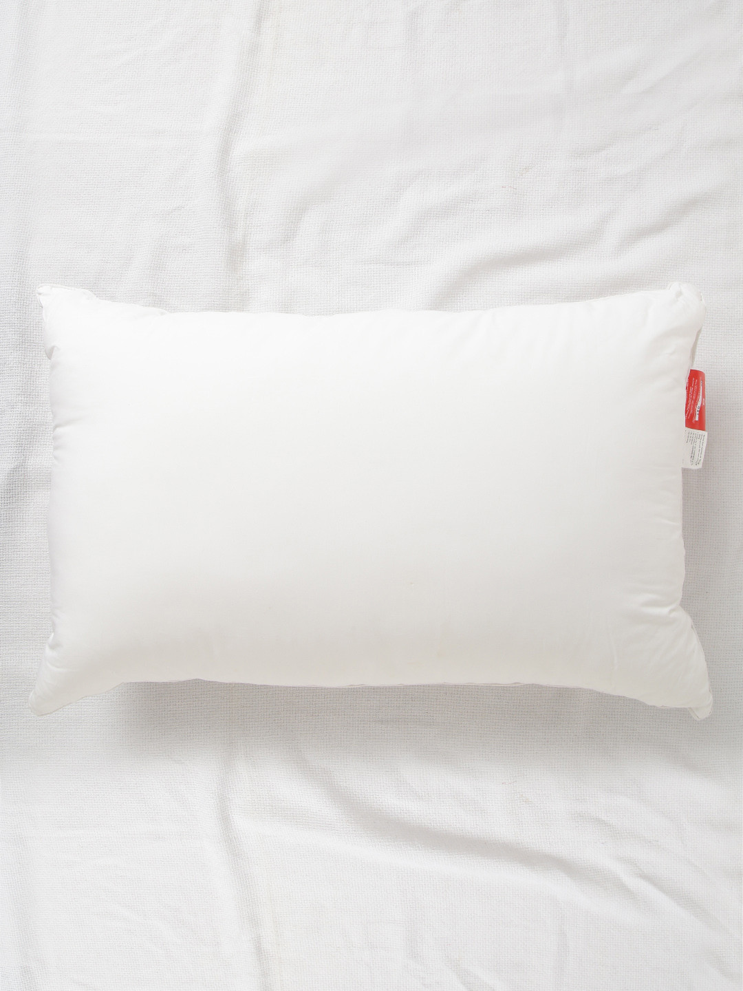 Buy SPACES White Single Siliconised Fibre Pillow Pillows for Unisex