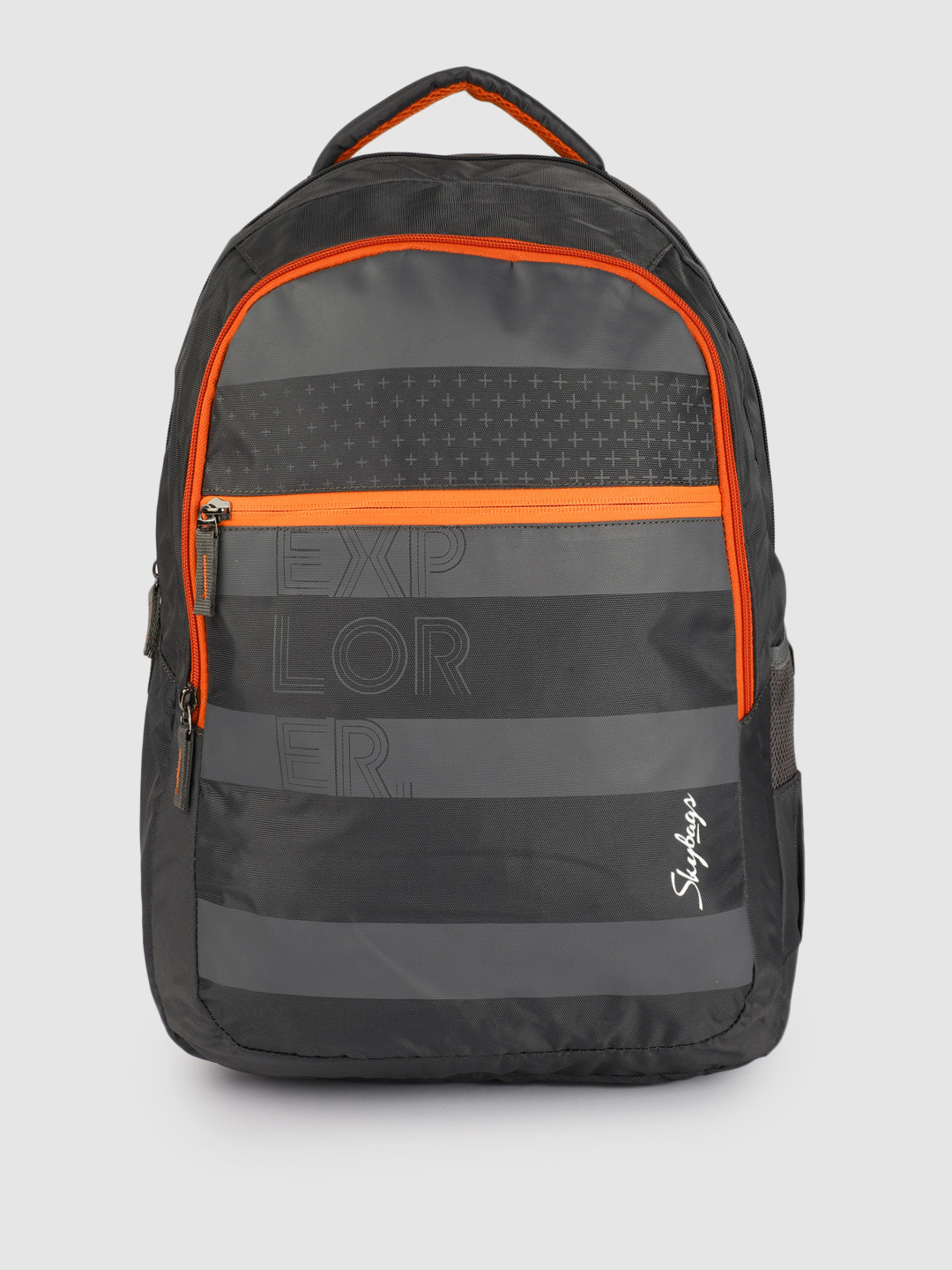 Buy Skybags Unisex Grey Striped Backpack Backpacks for Unisex