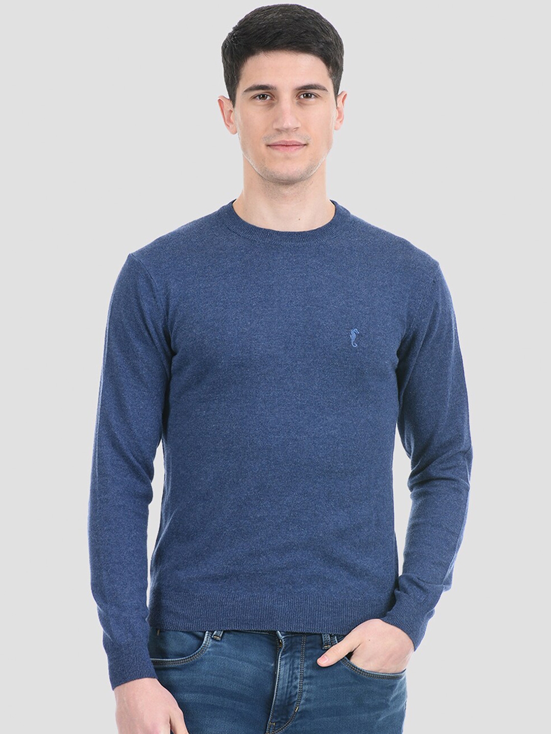 Buy PORTOBELLO Men Blue Solid Pullover - Sweaters for Men 18548460 | Myntra