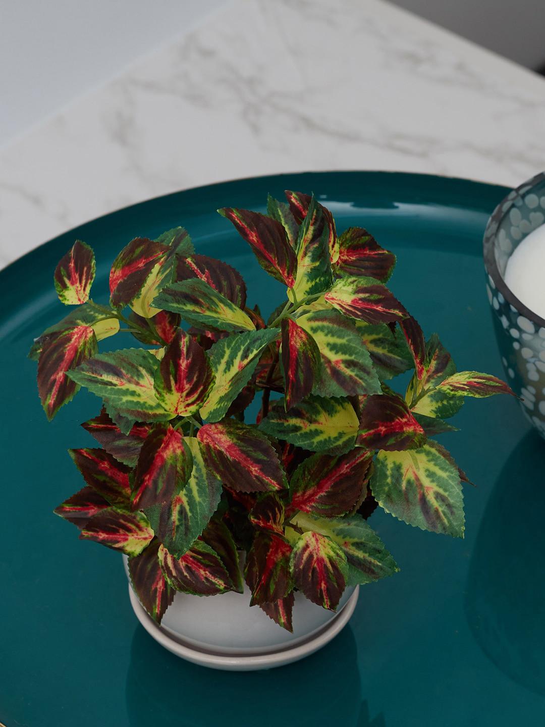 Buy HomeTown White & Green Ilana Faux Coleus Ceramic Artificial Flowers