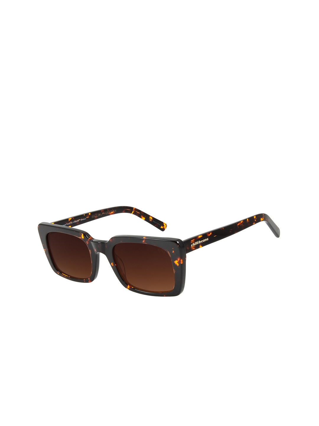 Buy Chilli Beans Women Bronze Lens & Tan Frame Square Sunglasses