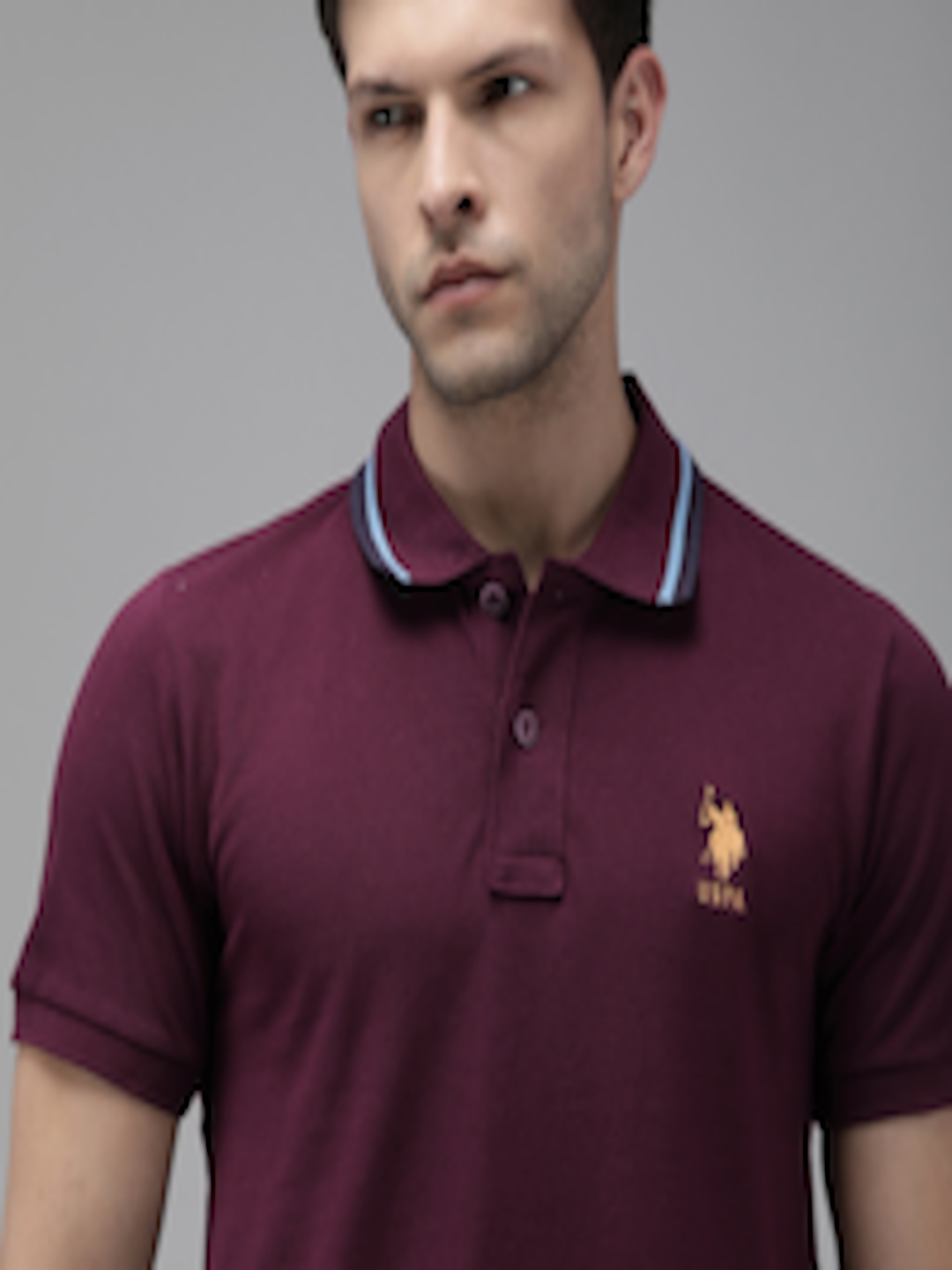 Buy U.S. Polo Assn. Men Purple Polo Collar Slim Fit T Shirt - Tshirts ...