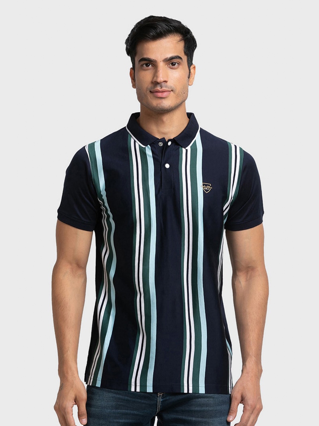 Buy Colorplus Men Blue Striped Polo Collar Organic Cotton Slim Fit T Shirt Tshirts For Men