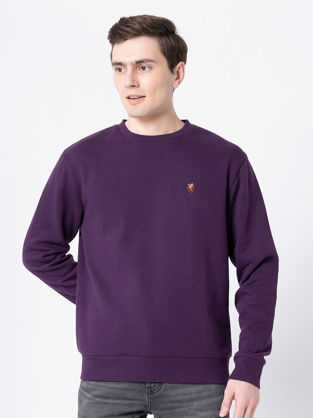 Buy Red Tape Men Purple Sweatshirt - Sweatshirts for Men 19827792 | Myntra
