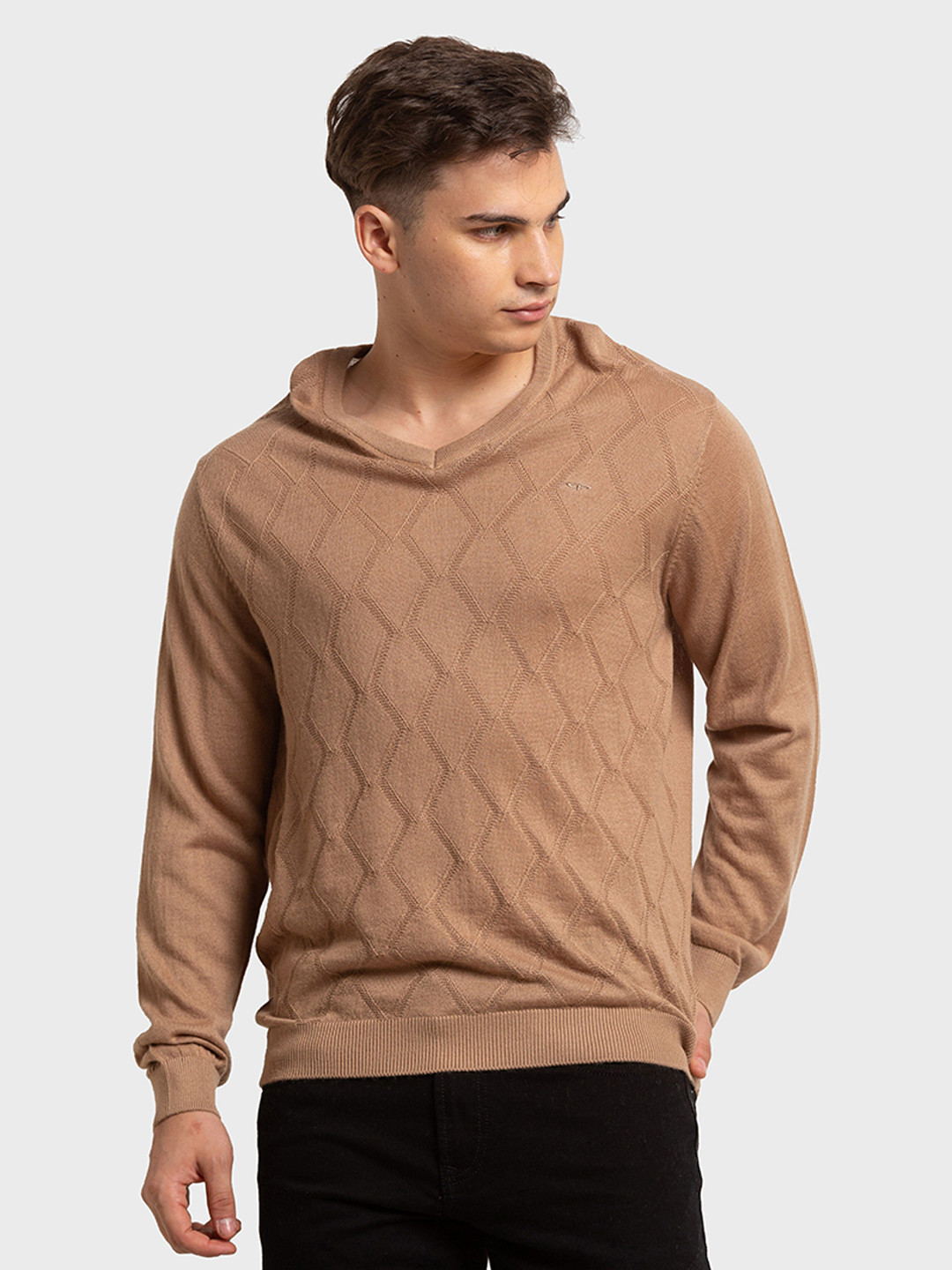 Buy ColorPlus Men Brown Pullover Sweaters for Men 19942108 Myntra