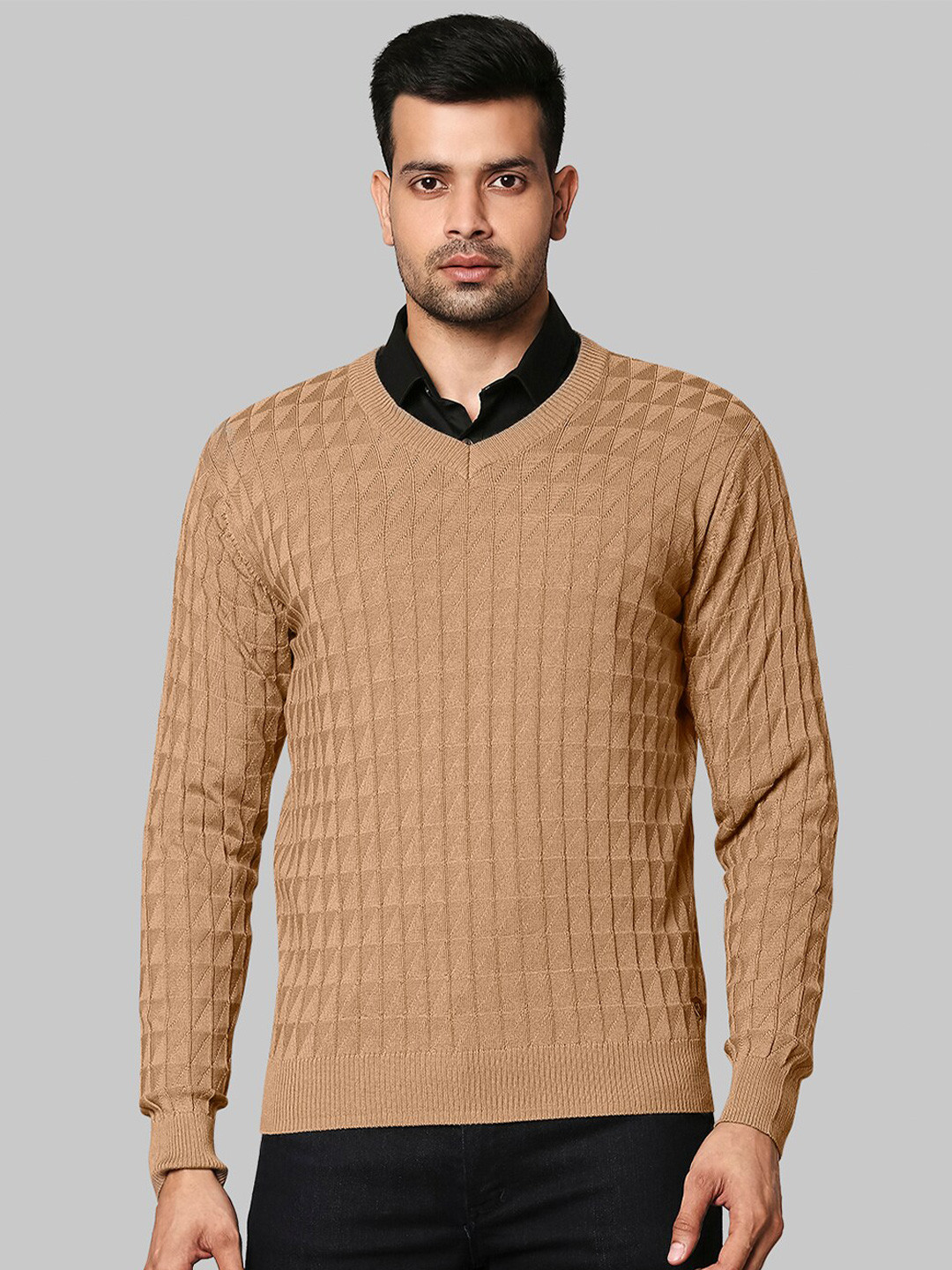 Buy Raymond Men Beige Self Design Pullover - Sweaters for Men 19968642 ...