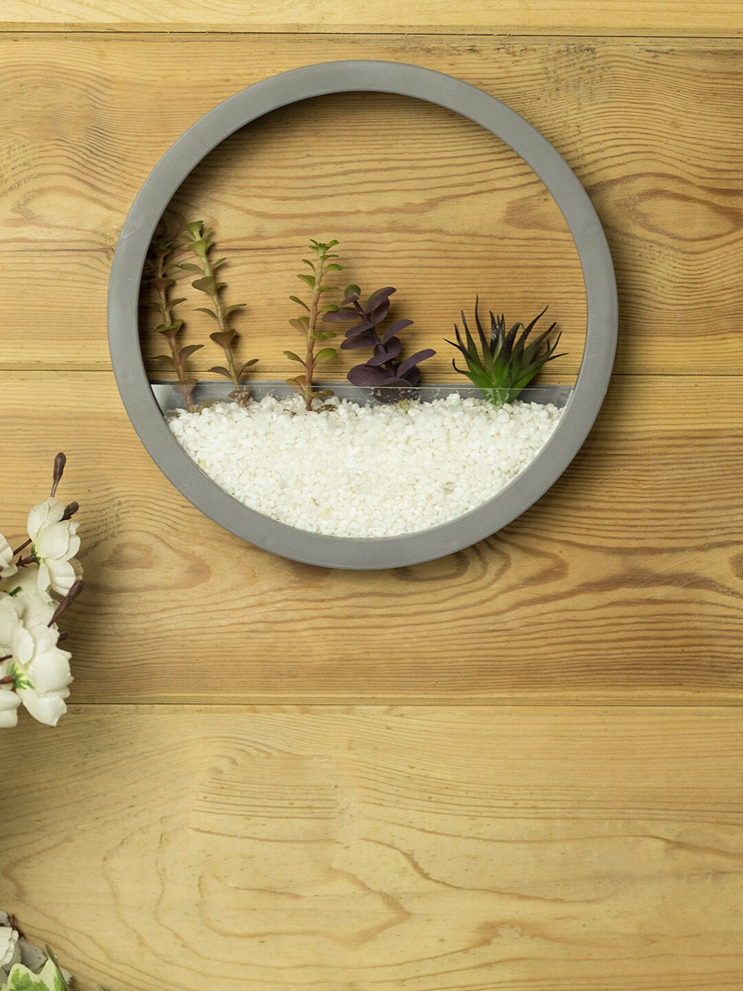 Buy MARKET99 Grey Round Wall Hanging Glass Terrarium Wall Decor for