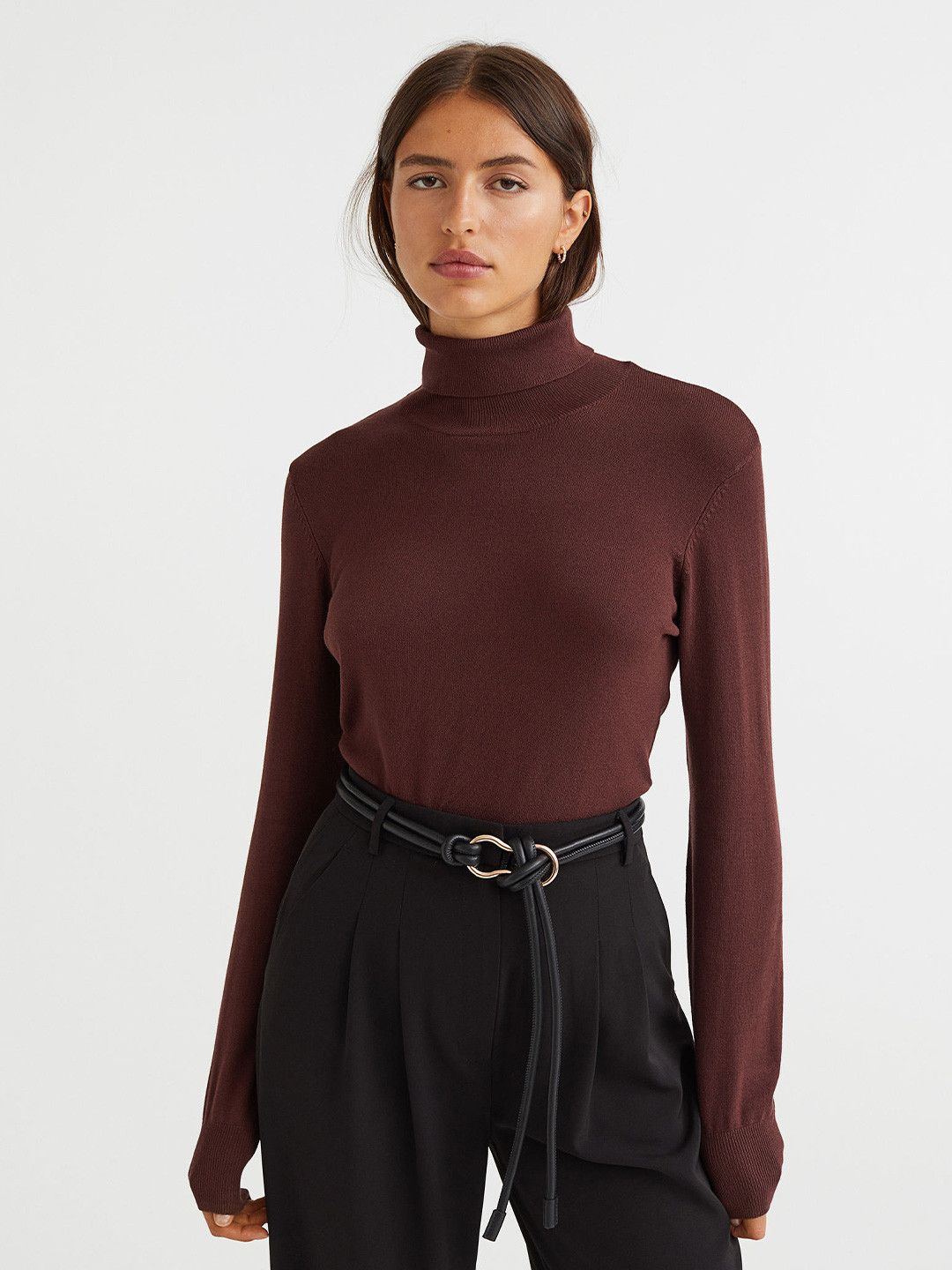 Buy H&M Women Brown Fine Knit Polo Neck Jumper Sweaters for Women